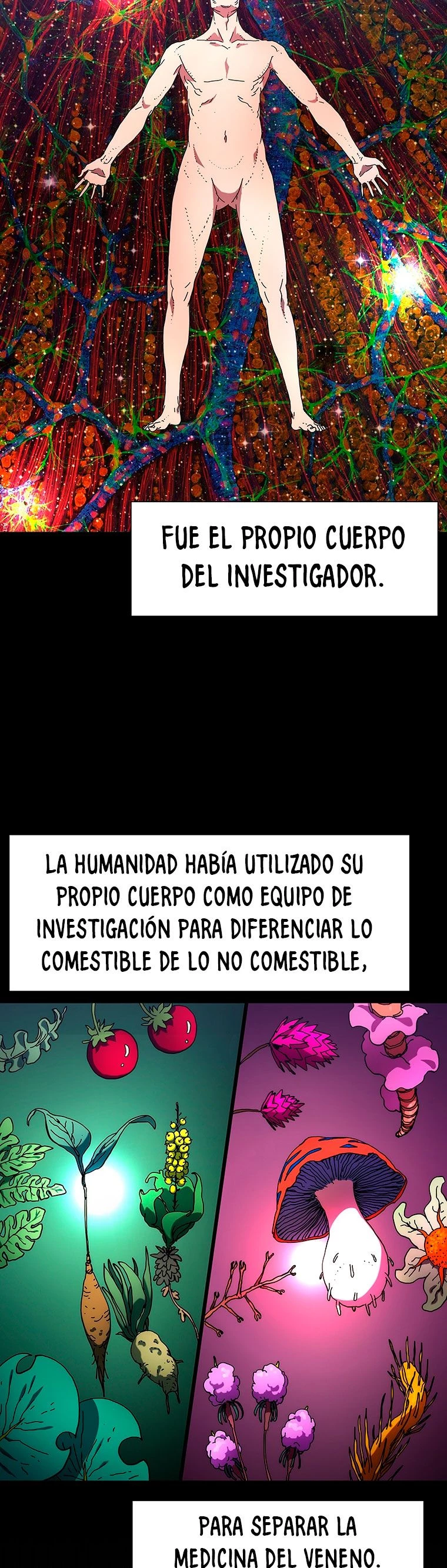 ¡Soy el único amado por las Constelaciones! capítulo 28, página 5