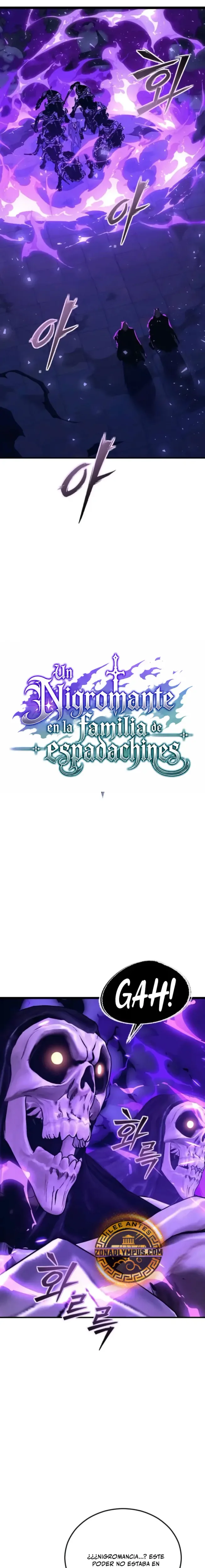 Un Nigromante en la familia de espadachines capítulo 22, página 2