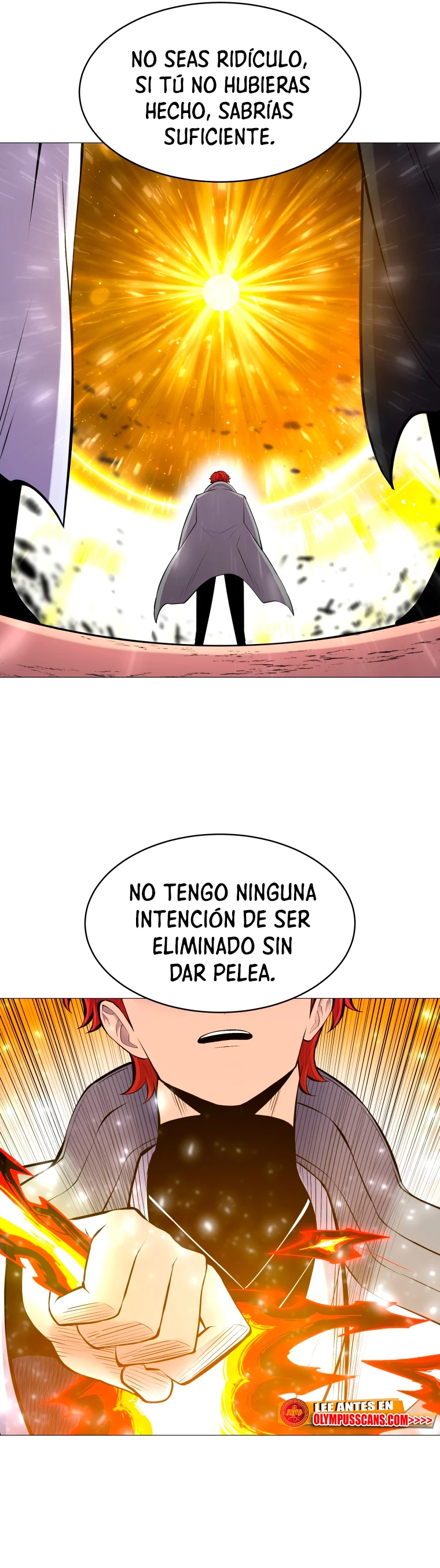 Updater capítulo 117, página 12