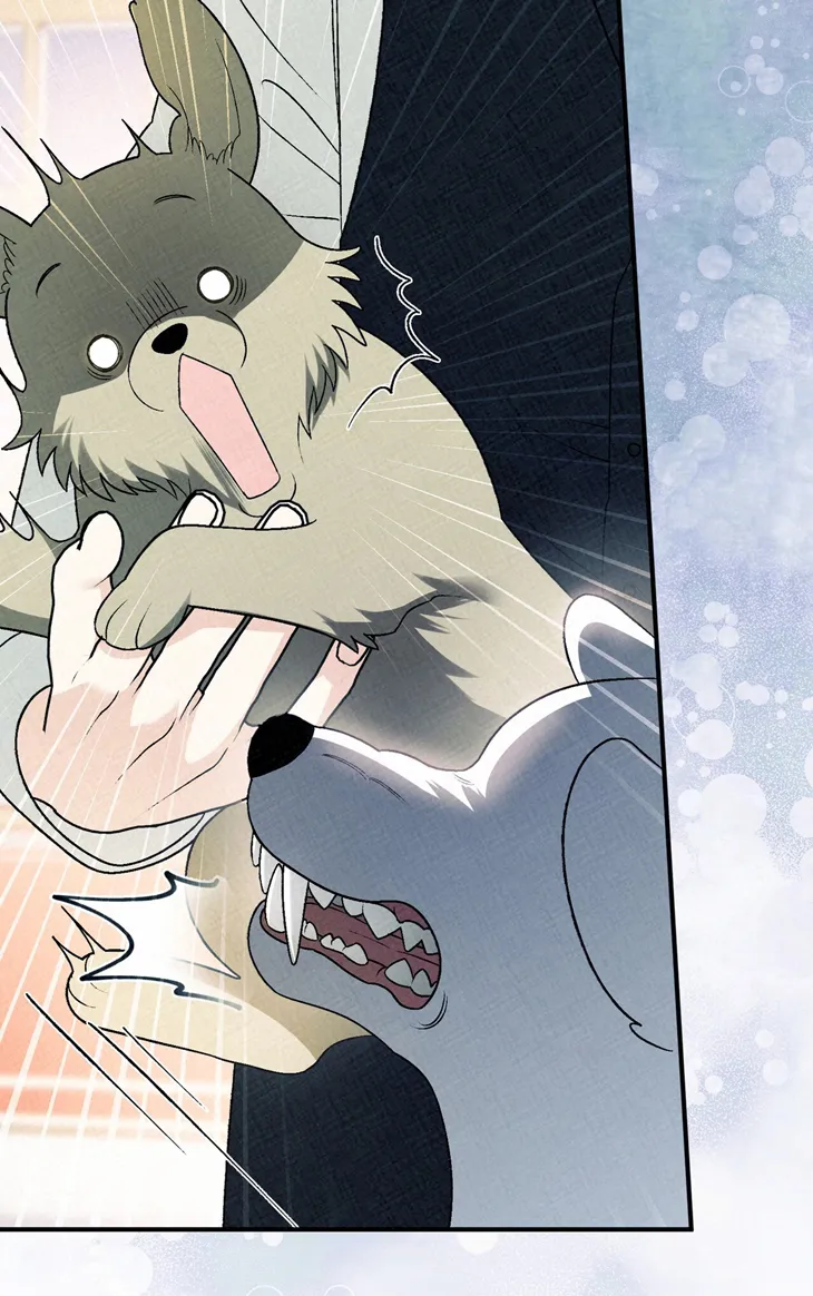 A Mi Querido Lobo capítulo 15, página 19