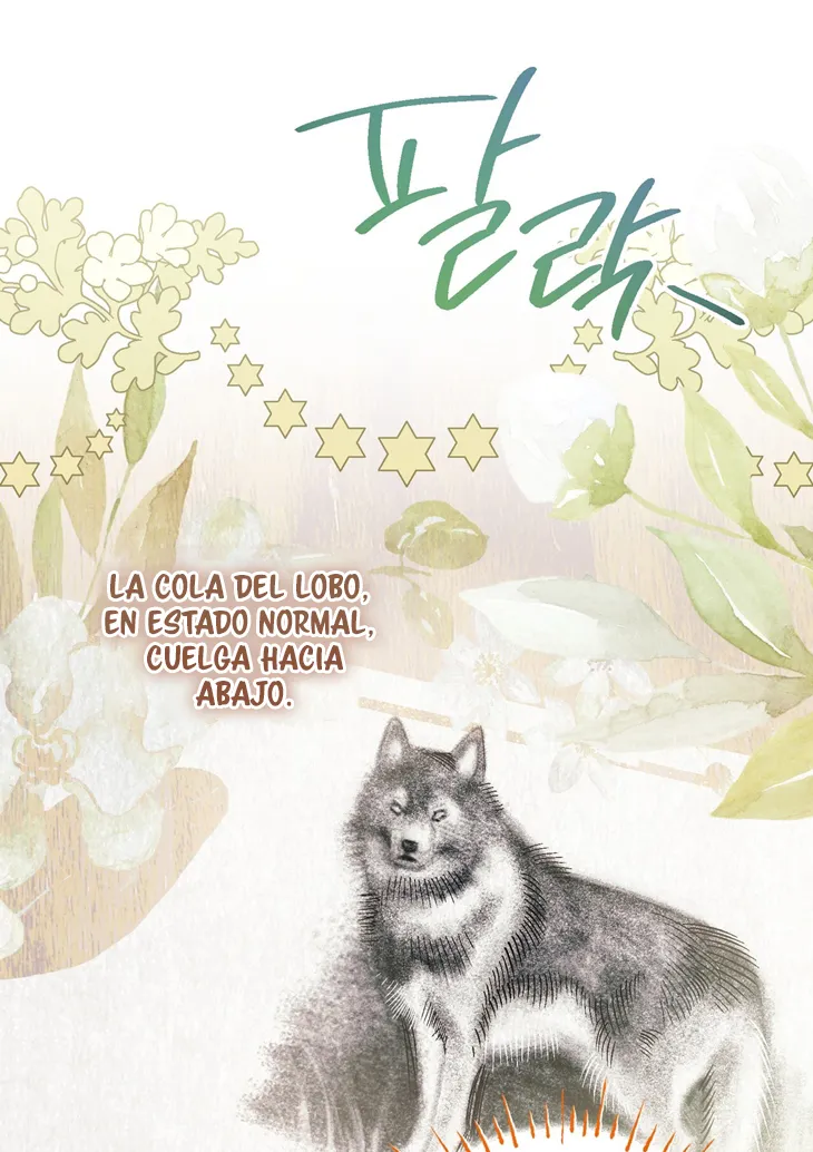 A Mi Querido Lobo capítulo 9, página 67