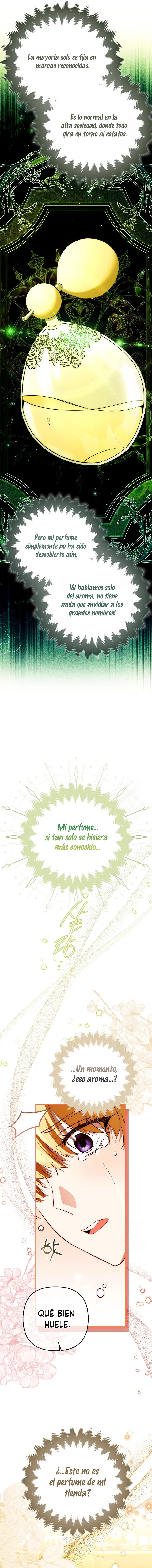 Cómo terminar un matrimonio por contrato de forma perfecta capítulo 5, página 17