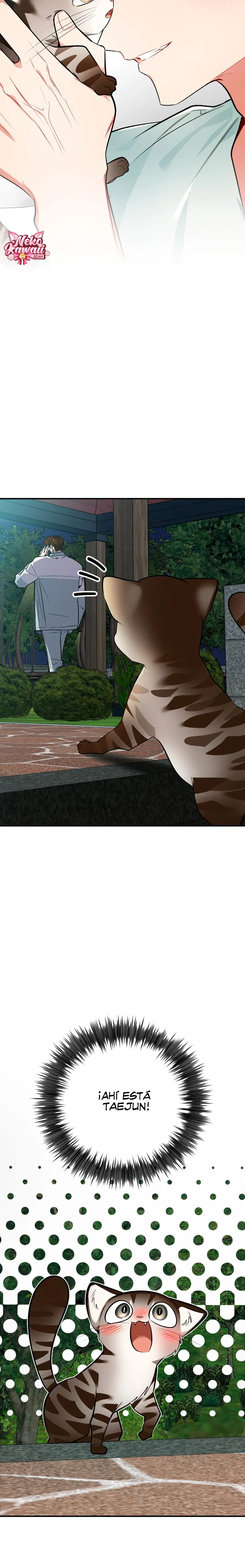¡Dame un cachorro leopardo si no quieres verme enloquecer! capítulo 12, página 3