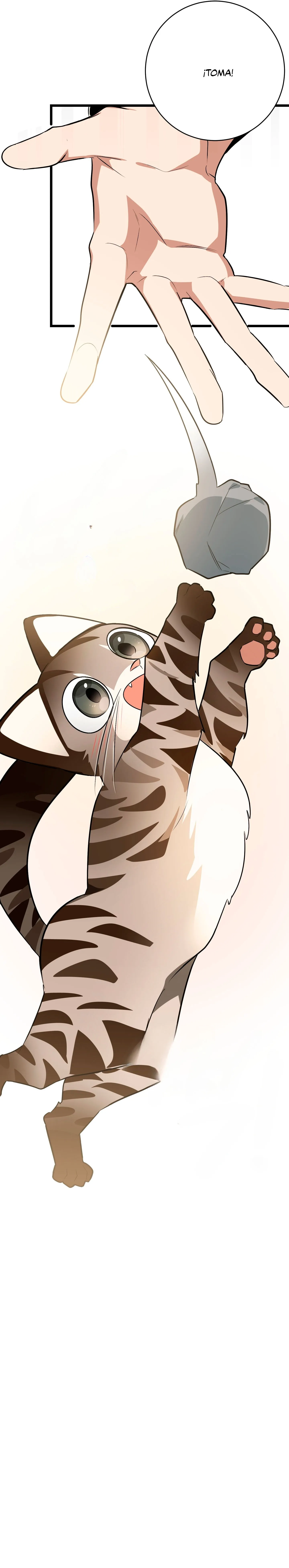 ¡Dame un cachorro leopardo si no quieres verme enloquecer! capítulo 3, página 16