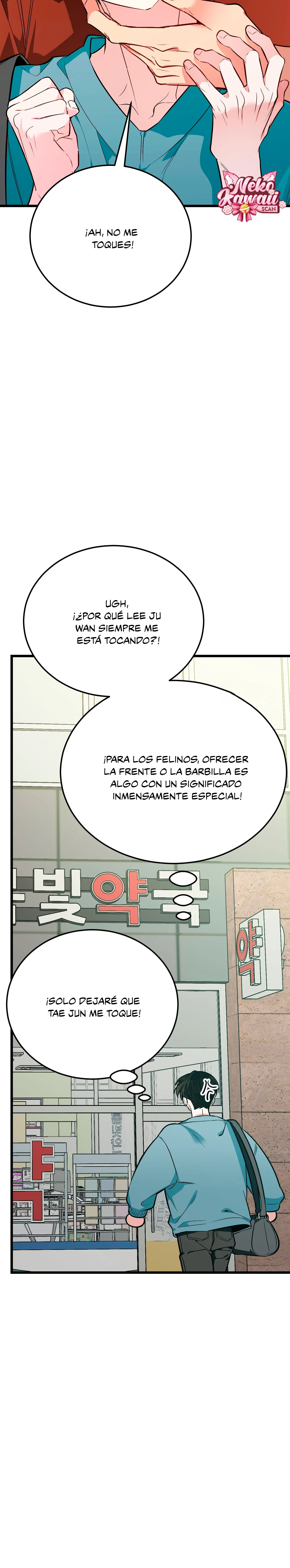¡Dame un cachorro leopardo si no quieres verme enloquecer! capítulo 7, página 47