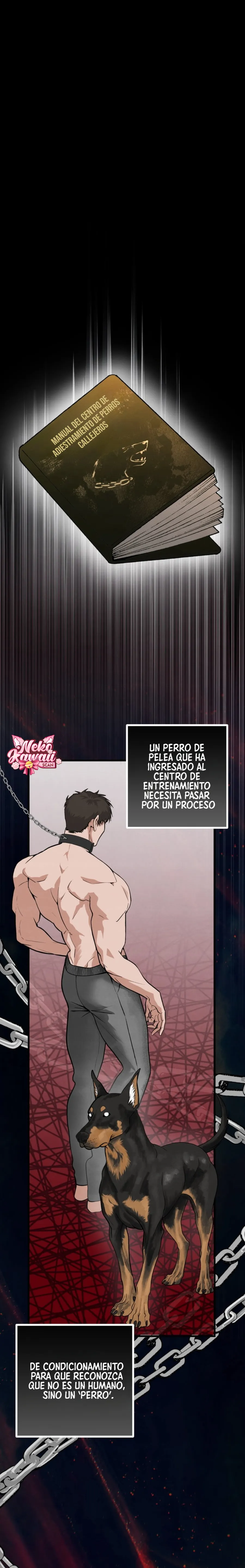 Domando al perro alfa capítulo 3, página 14