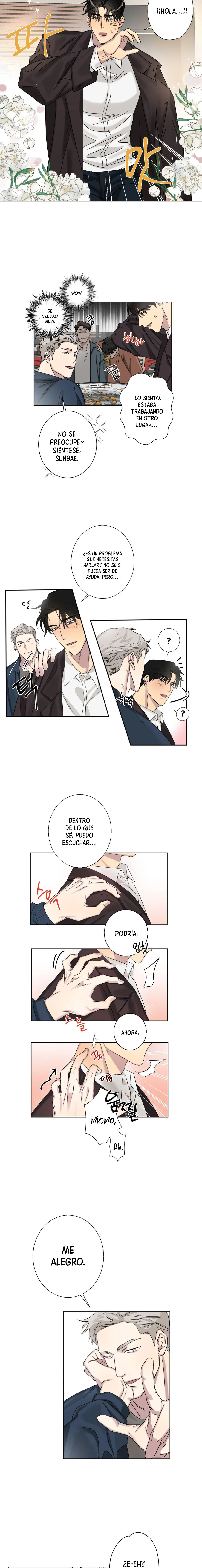Error de cálculo capítulo 1, página 17
