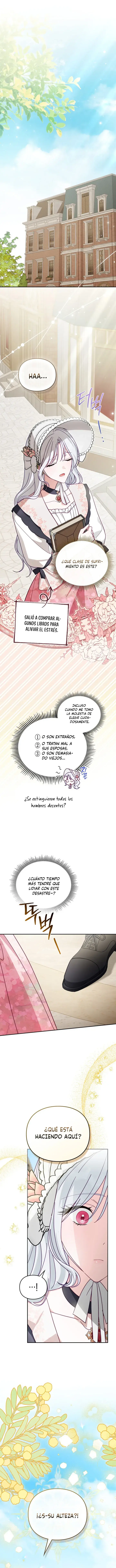 Estoy buscando al marido de la duquesa capítulo 18, página 12