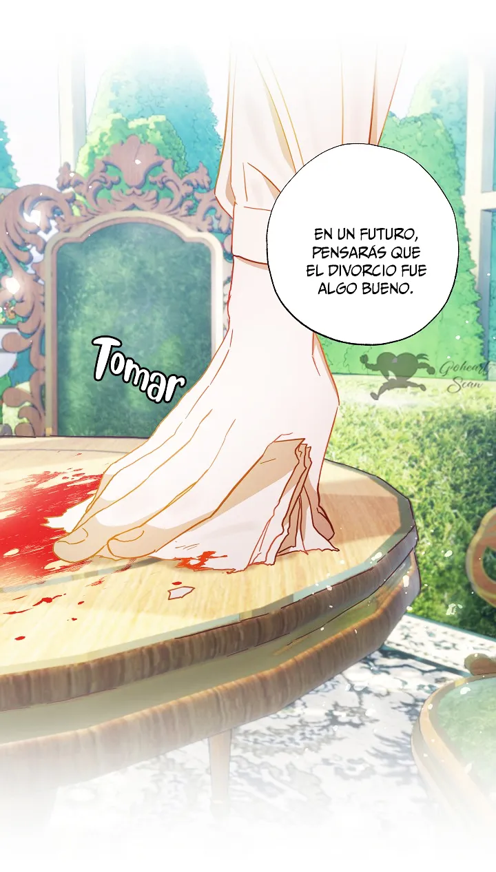 Falle En Divorciarme de Mi Esposo capítulo 40, página 9