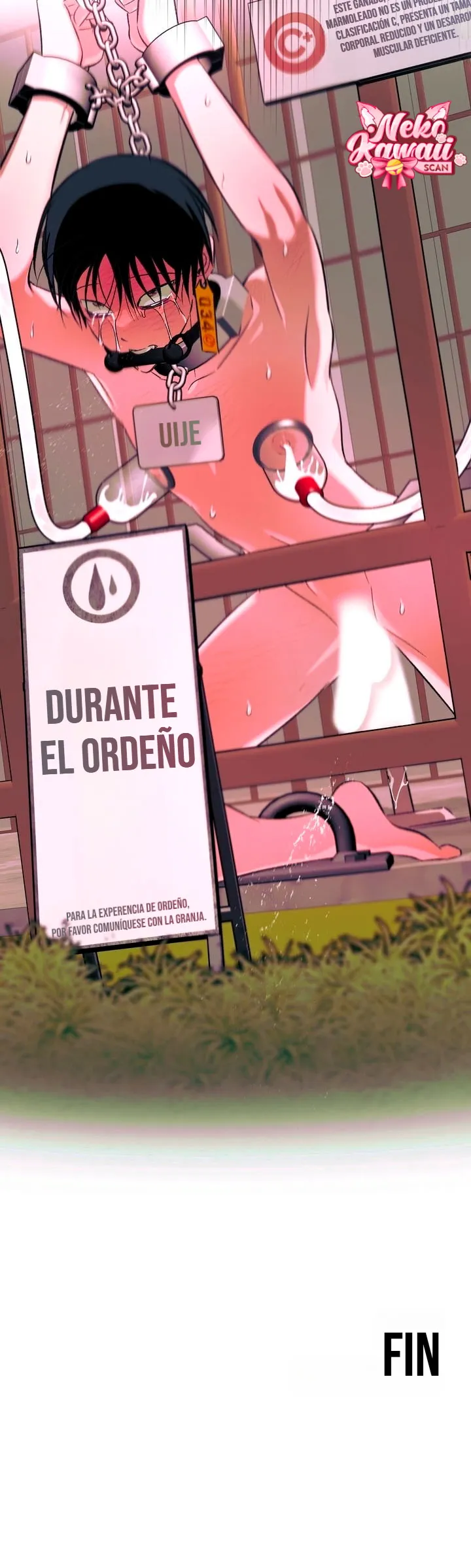 Informe del Rancho Humano capítulo 4, página 22