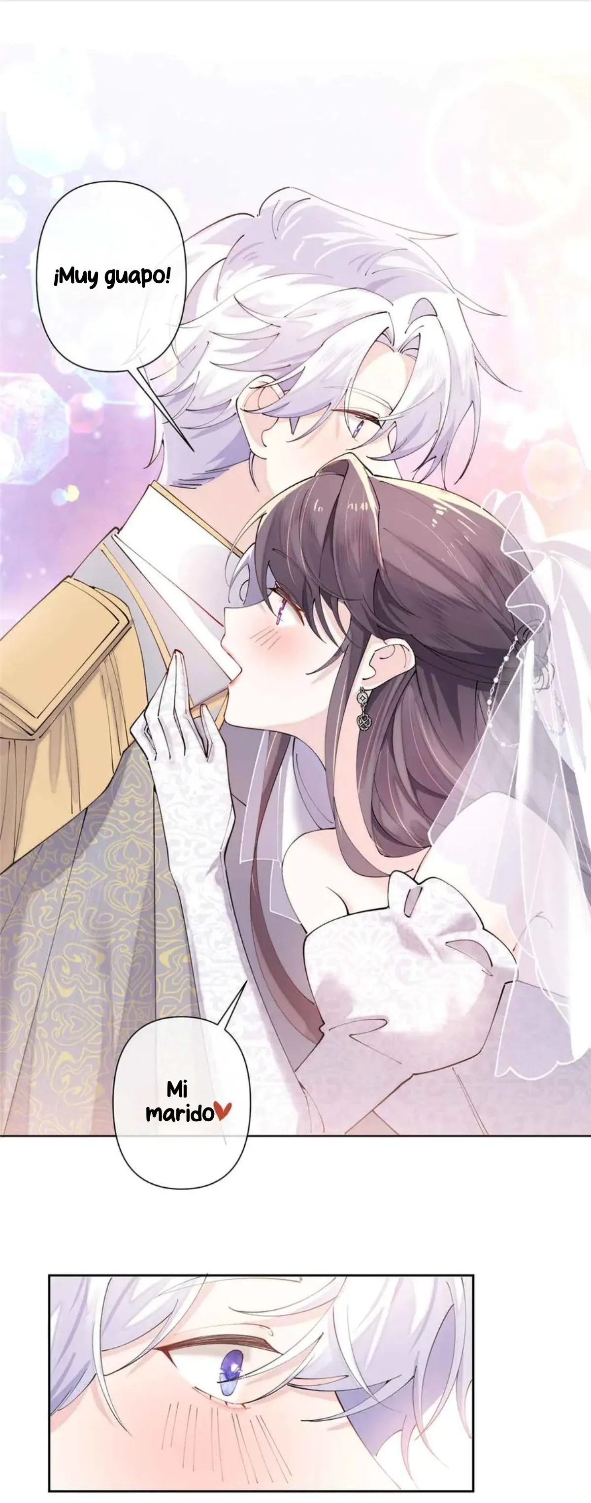 Me casé con mi comandante capítulo 66, página 11