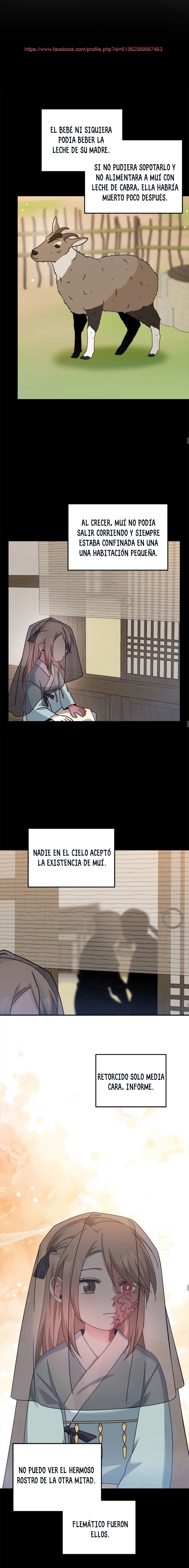 Mi Bari capítulo 11, página 4