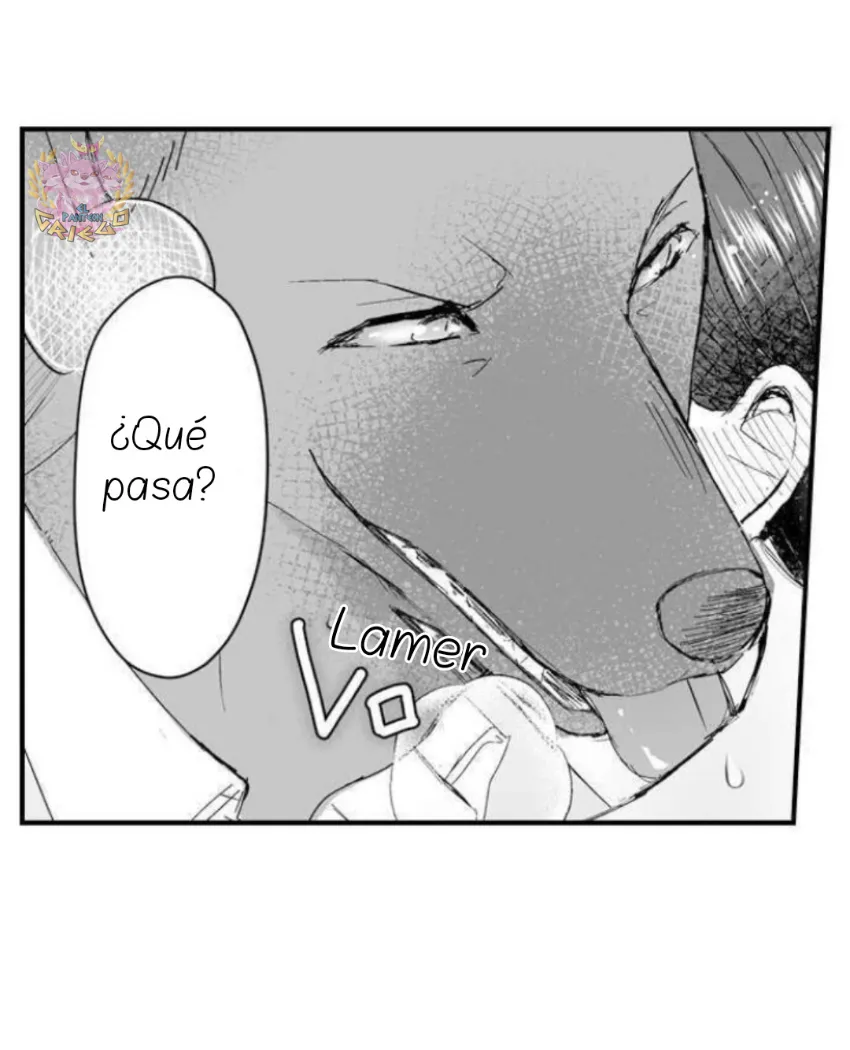 Mi esposa predestinada capítulo 12, página 17