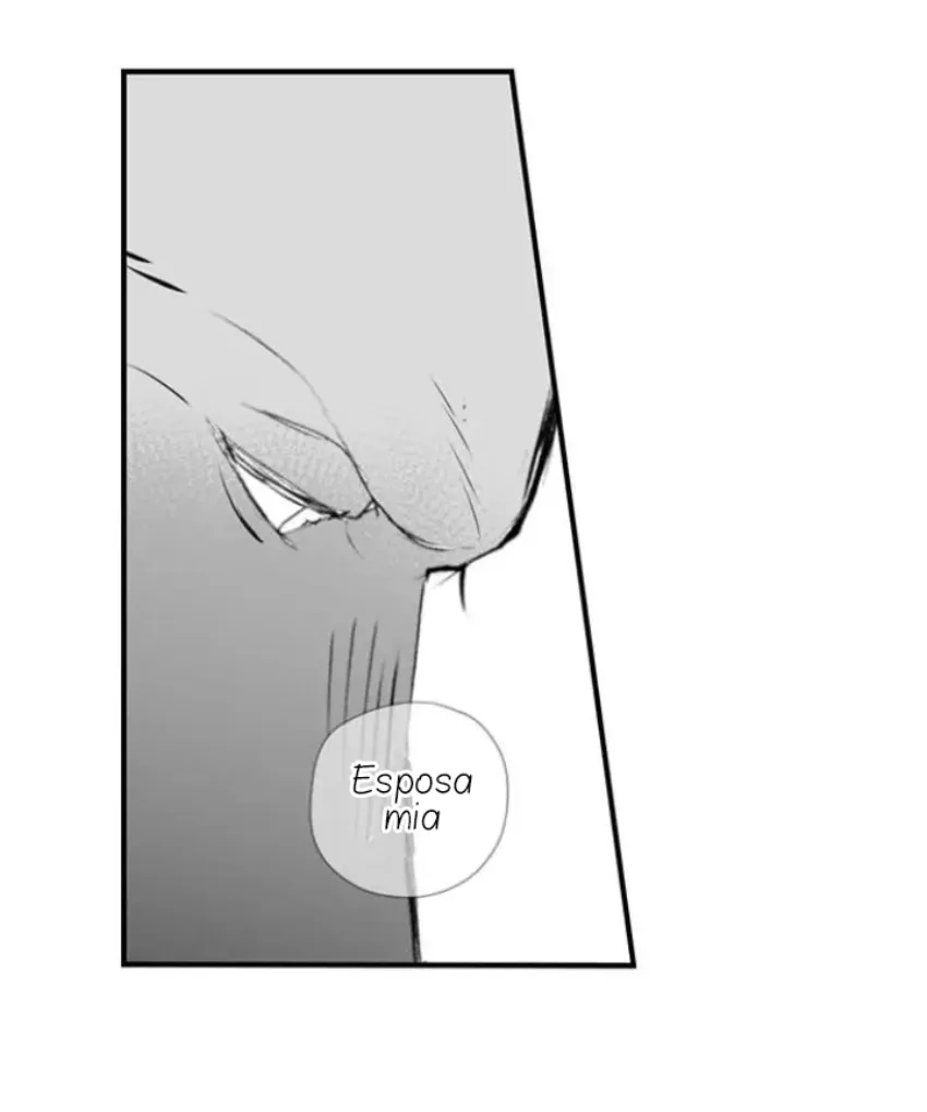 Mi esposa predestinada capítulo 24, página 17