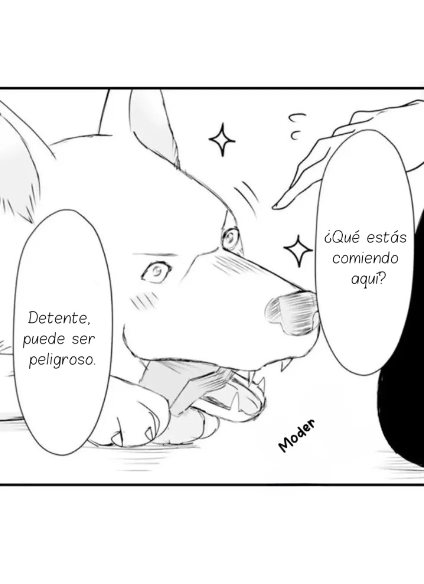 Mi esposa predestinada capítulo 25, página 16