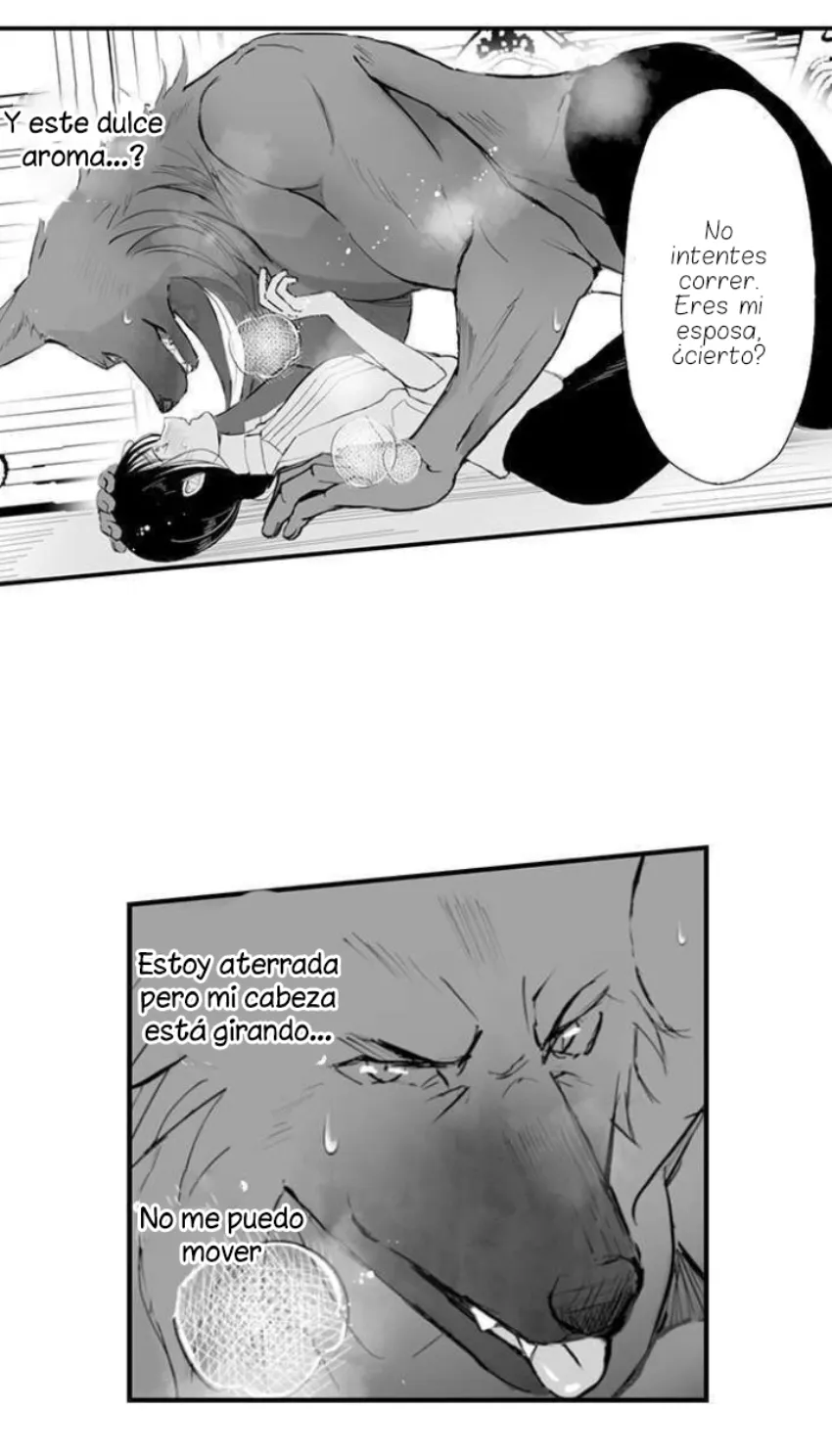 Mi esposa predestinada capítulo 3, página 12