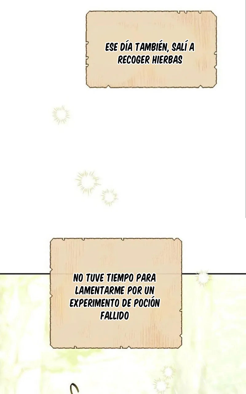 Mi pequeño hada capítulo 1, página 51