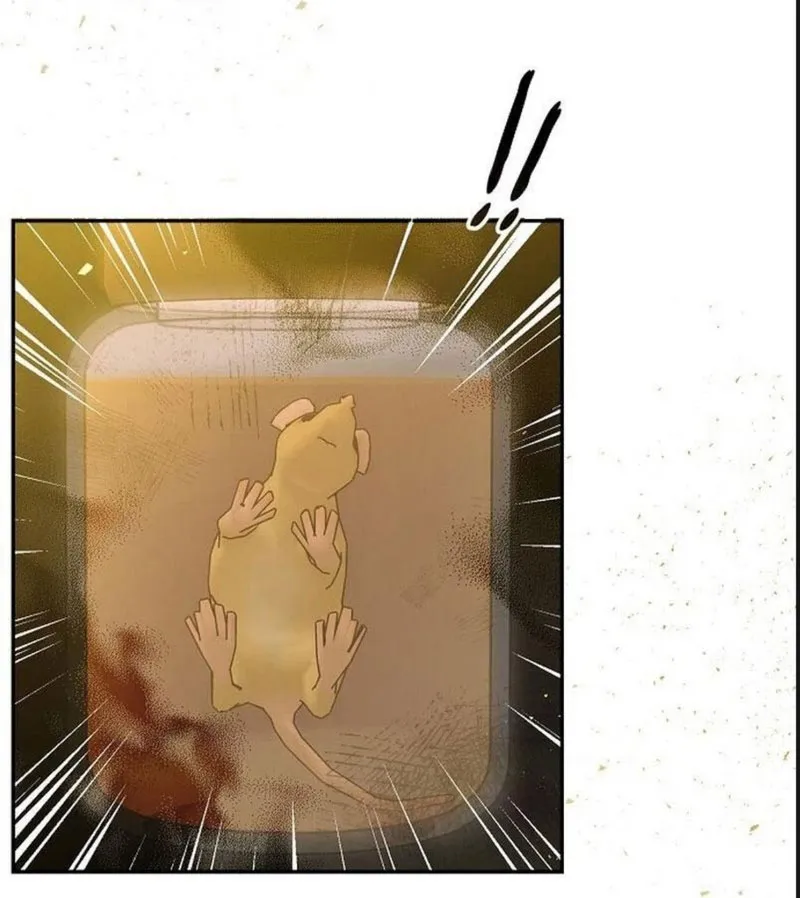 Mi pequeño hada capítulo 2, página 6