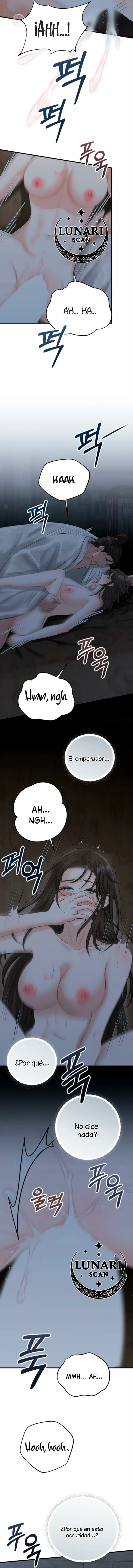 Miradas prohibidas capítulo 1, página 13