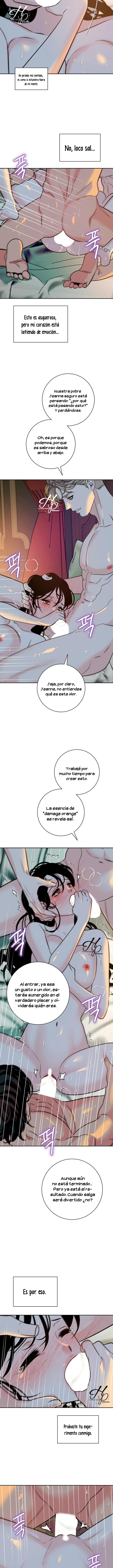 Naranja Dañada (+18) (Finalizado) capítulo 4, página 5