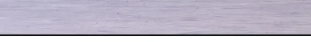 Prohibido casarse capítulo 5, página 45