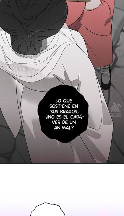 Relatos nocturnos capítulo 20, página 20
