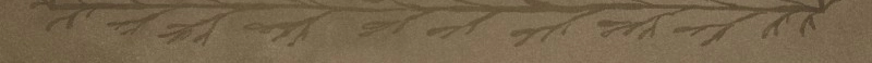 Sable Curse capítulo 28, página 12
