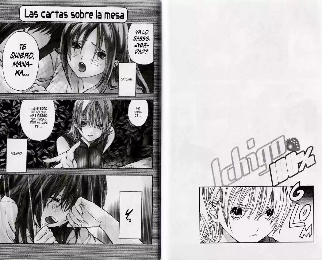 Ichigo 100% capítulo 34, página 11
