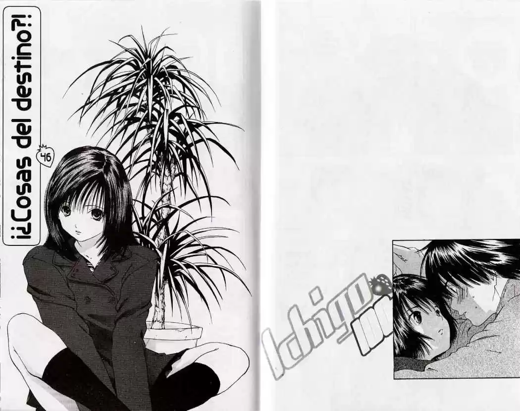 Ichigo 100% capítulo 46, página 1