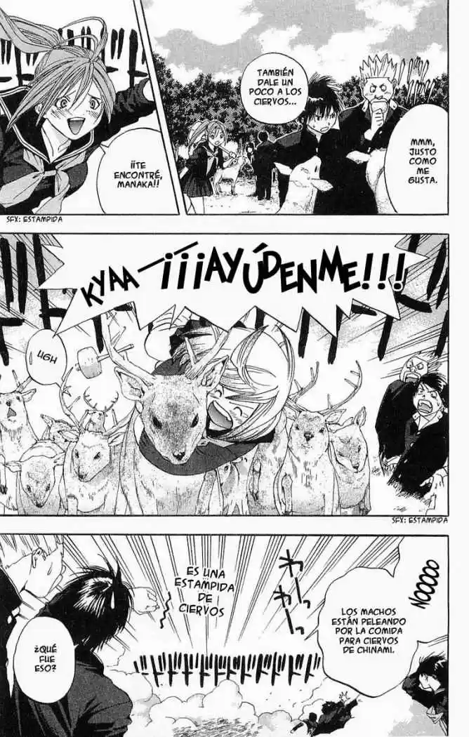 Ichigo 100% capítulo 86, página 5