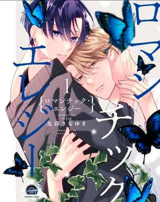 Romantic Elegy