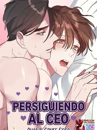 Portada de Persiguiendo Al Ceo / Chasing A Mr Ceo - FxS