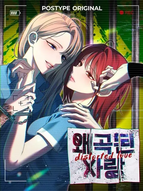 Portada de Amor distorsionado