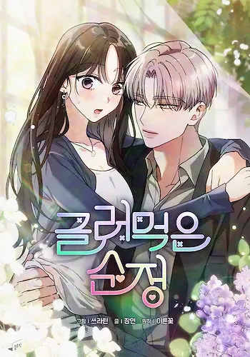 Portada de Amor Puro Arruinado