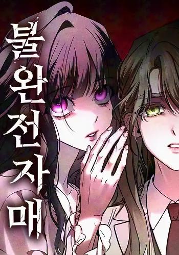 Portada de Hermanas Imperfectas