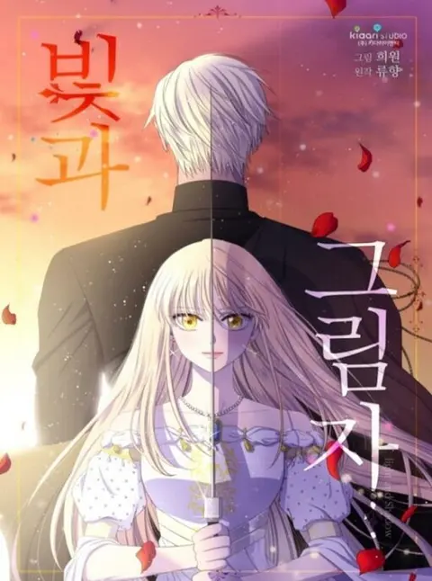 Portada de Light and Shadow