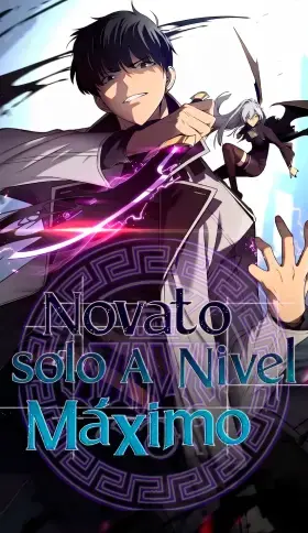 Portada de Sin fin skills